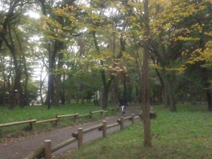 井の頭公園小径