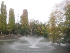 井の頭池201111