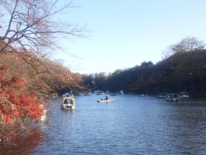 井の頭池201112