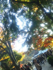 井の頭公園紅葉